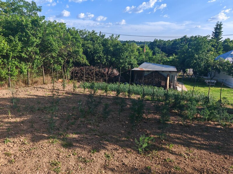 Obedeni, vanzare casa la curte,